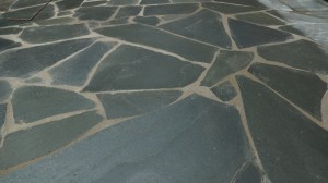 DSC00229