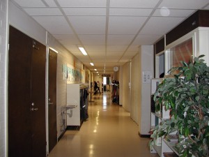 P1010028