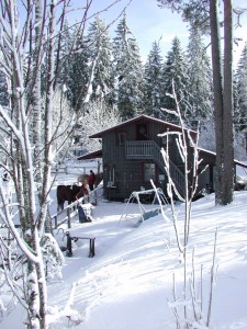 talli Lilja 2