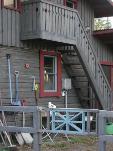 talli Lilja 3