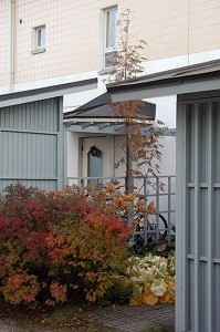 tapionniitty09